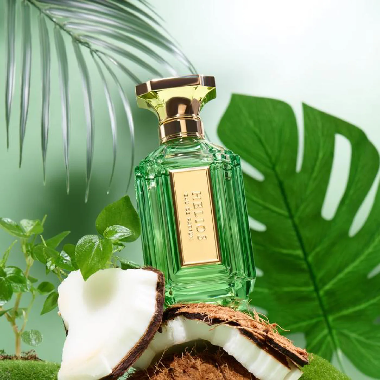 Velixir Helios Eau de Perfume 35ml & 100ml for Unisex image 7